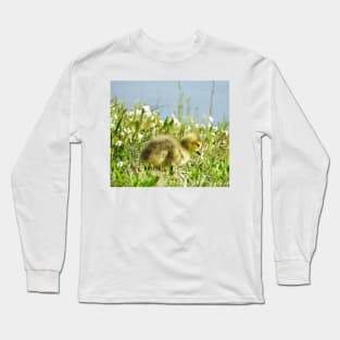 Baby gosling, Canadian Geese, wildlife gifts Long Sleeve T-Shirt